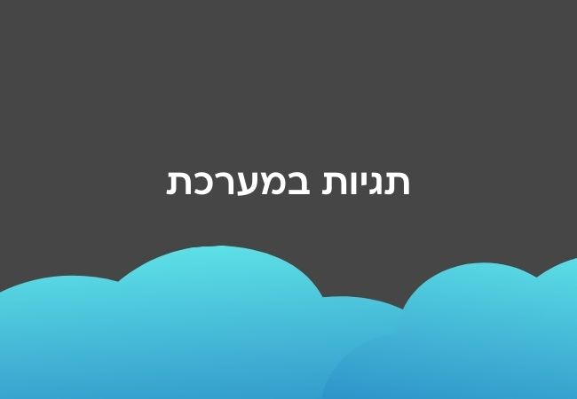 תיוג פניות במערכת אומניצ'אנל
